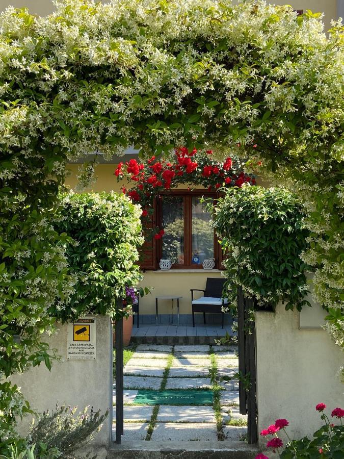 Villa Dei Cedri Скалея Экстерьер фото